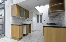 Whitemoor kitchen extension leads